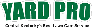 A green and white logo for the word " fraud ".
